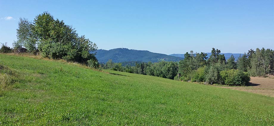 Naturlandschaft bei Bad Großpertholz
