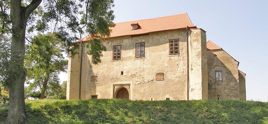 Die Burg Zuckenstein